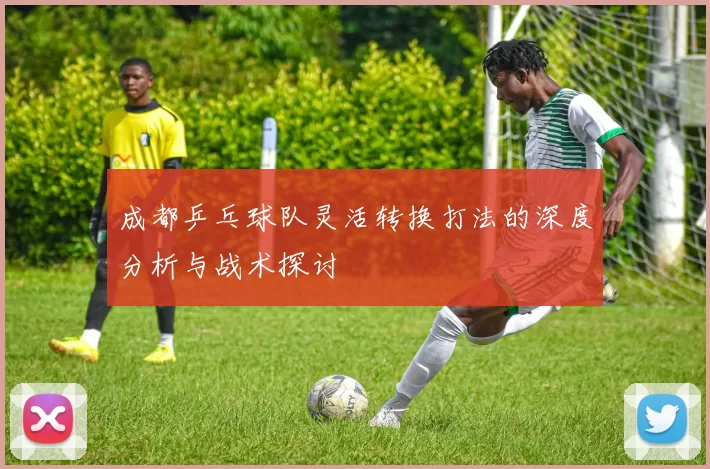 成都乒乓球队灵活转换打法的深度分析与战术探讨
