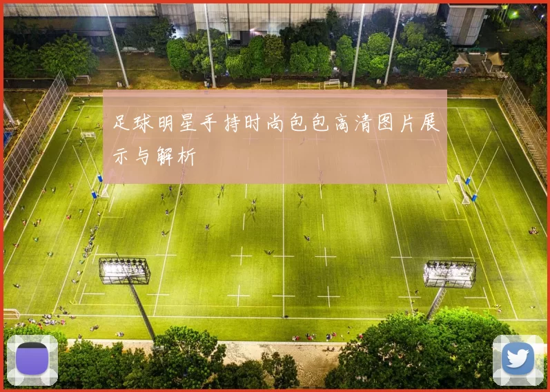 足球明星手持时尚包包高清图片展示与解析