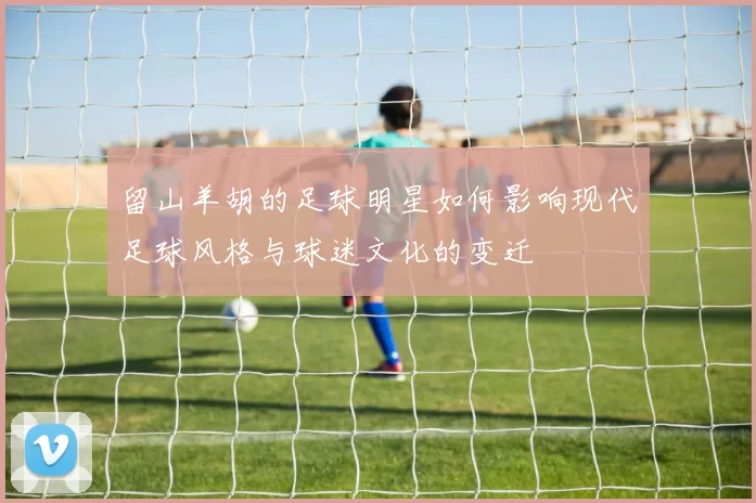 留山羊胡的足球明星如何影响现代足球风格与球迷文化的变迁