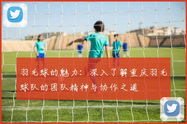 羽毛球的魅力：深入了解重庆羽毛球队的团队精神与协作之道