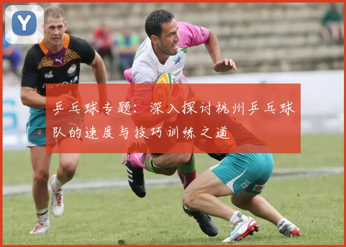 乒乓球专题：深入探讨杭州乒乓球队的速度与技巧训练之道