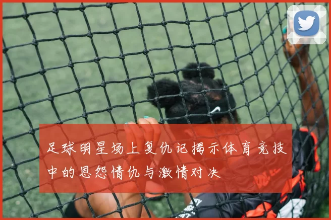 足球明星场上复仇记揭示体育竞技中的恩怨情仇与激情对决
