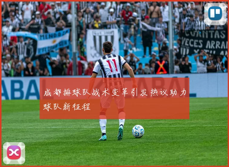 成都排球队战术变革引发热议助力球队新征程