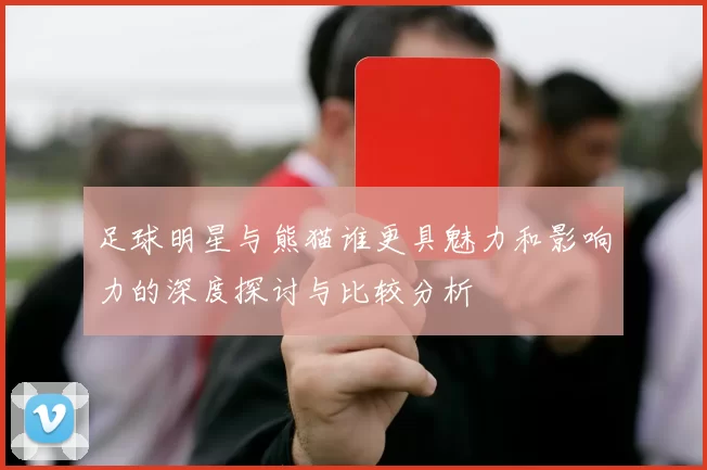 足球明星与熊猫谁更具魅力和影响力的深度探讨与比较分析
