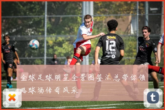 全球足球明星全景图鉴汇总带你领略球场传奇风采