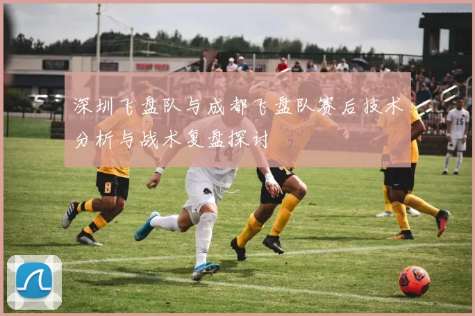 深圳飞盘队与成都飞盘队赛后技术分析与战术复盘探讨
