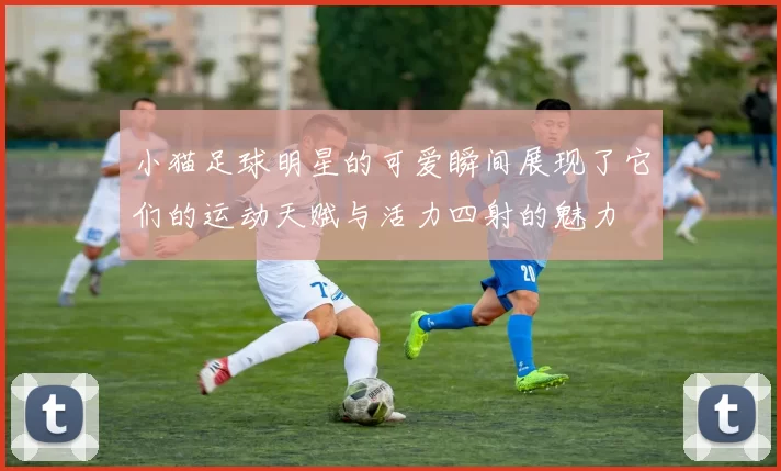 小猫足球明星的可爱瞬间展现了它们的运动天赋与活力四射的魅力