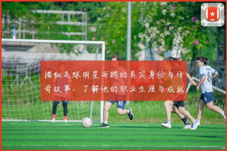 揭秘足球明星海鸥的真实身份与传奇故事，了解他的职业生涯与成就