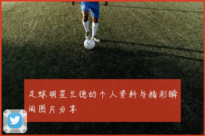 足球明星兰德的个人资料与精彩瞬间图片分享