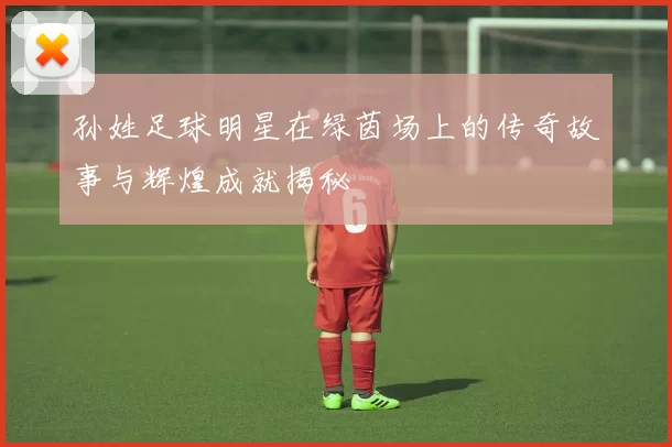 孙姓足球明星在绿茵场上的传奇故事与辉煌成就揭秘
