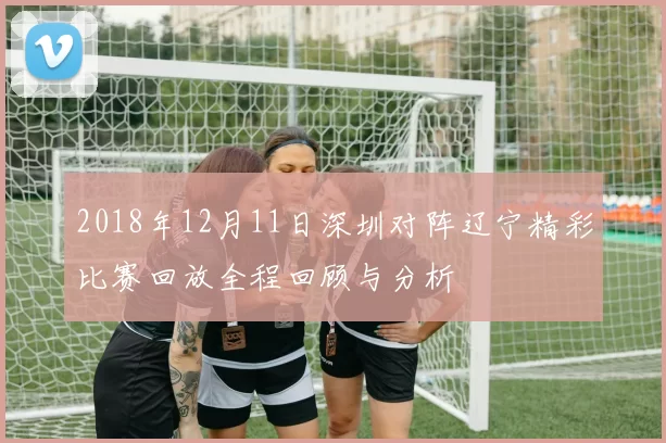 2018年12月11日深圳对阵辽宁精彩比赛回放全程回顾与分析