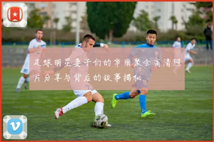 足球明星妻子们的华丽聚会高清照片分享与背后的故事揭秘