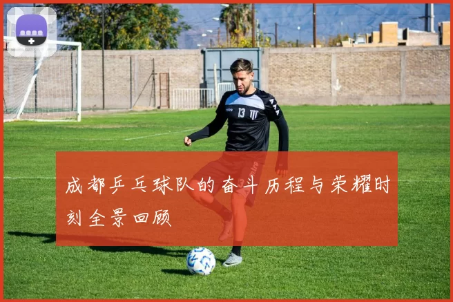 成都乒乓球队的奋斗历程与荣耀时刻全景回顾