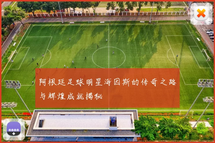阿根廷足球明星海因斯的传奇之路与辉煌成就揭秘
