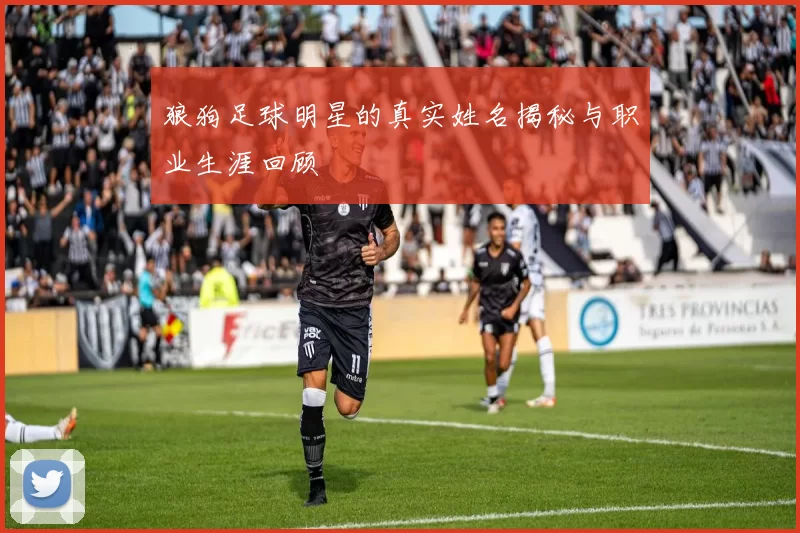 狼狗足球明星的真实姓名揭秘与职业生涯回顾